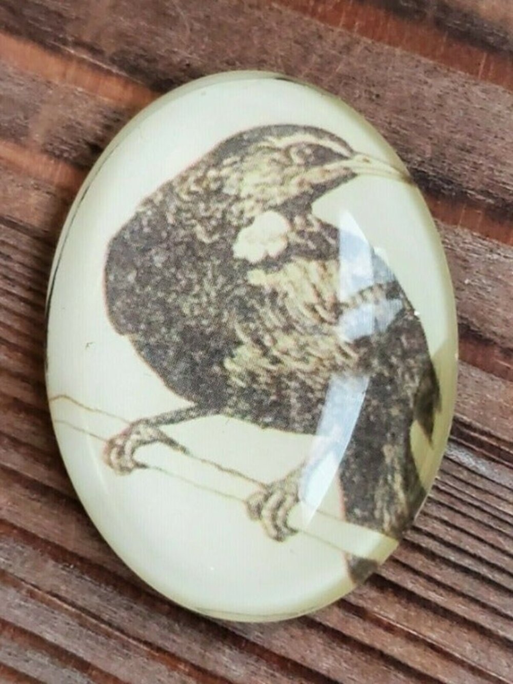 Edgar Allan Poe The Raven Victorian Gothic Bird Glass Oval Cabochon 40x30mm